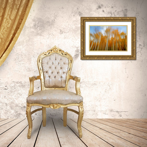 The Spirit Of Autumn Gold Ornate Wood Framed Art Print with Double Matting by Sherrell, Bill