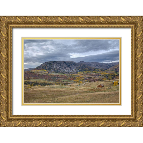 The Valley Of Gold Gold Ornate Wood Framed Art Print with Double Matting by Sherrell, Bill