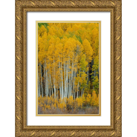 United We Stand 2 Gold Ornate Wood Framed Art Print with Double Matting by Sherrell, Bill