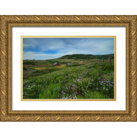 Wildflowers At The True Grit Ranch 1 Gold Ornate Wood Framed Art Print with Double Matting by Sherrell, Bill