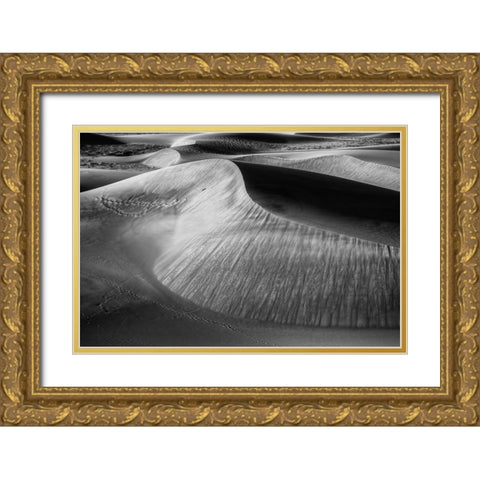 Wind Sculpting Gold Ornate Wood Framed Art Print with Double Matting by Sherrell, Bill