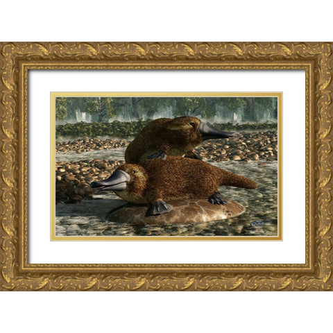 Platypuses Gold Ornate Wood Framed Art Print with Double Matting by Eskridge, Daniel