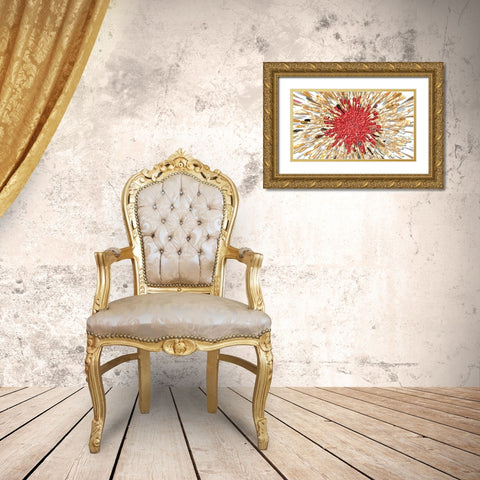 Cardinal Splash 3e Gold Ornate Wood Framed Art Print with Double Matting by Manlove, David