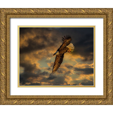 Bald Eagle at Sunset Gold Ornate Wood Framed Art Print with Double Matting by Galloimages Online