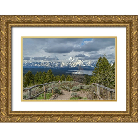 Jackson Lake Overlook GTNP Gold Ornate Wood Framed Art Print with Double Matting by Galloimages Online