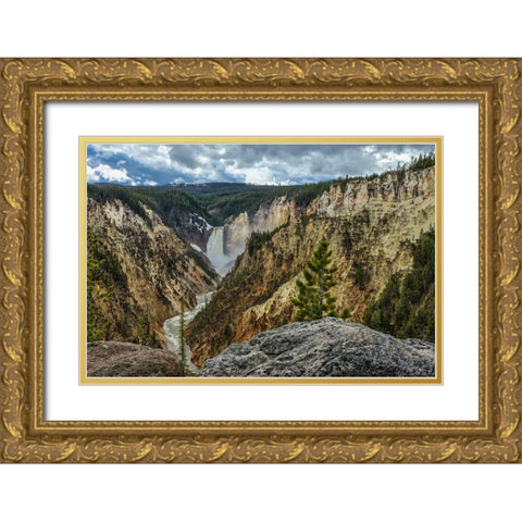Lower Falls YNP Grand Canyon Gold Ornate Wood Framed Art Print with Double Matting by Galloimages Online