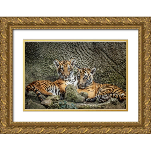 Brothers Twosome Gold Ornate Wood Framed Art Print with Double Matting by Galloimages Online