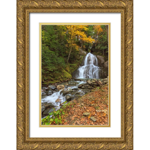 Moss Glen Falls in VT Gold Ornate Wood Framed Art Print with Double Matting by Galloimages Online
