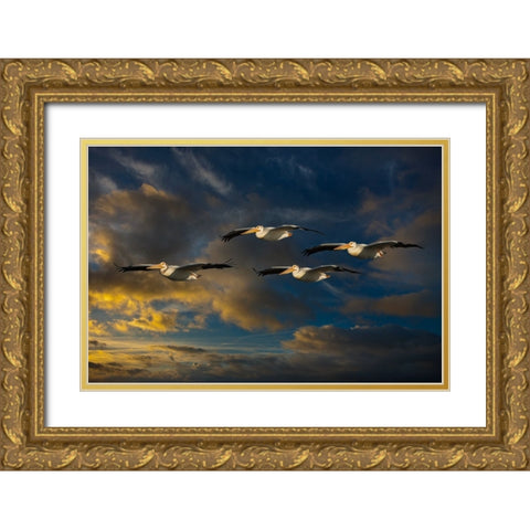 Pelican Foursome Gold Ornate Wood Framed Art Print with Double Matting by Galloimages Online