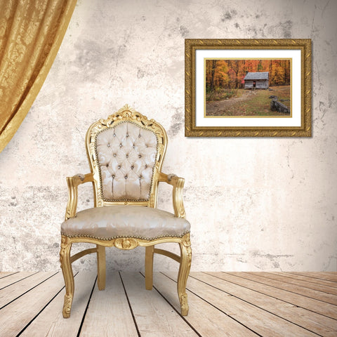 Alex Cole Cabin Gold Ornate Wood Framed Art Print with Double Matting by Galloimages Online