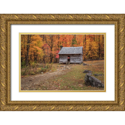 Alex Cole Cabin Gold Ornate Wood Framed Art Print with Double Matting by Galloimages Online