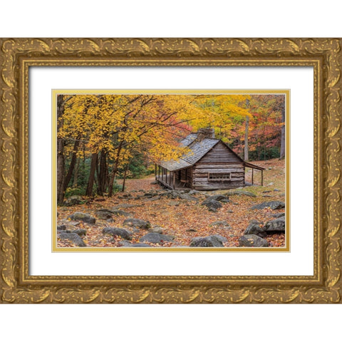 Bud Ogle Cabin Gold Ornate Wood Framed Art Print with Double Matting by Galloimages Online