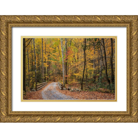 Greenbrier Bridge Path Gold Ornate Wood Framed Art Print with Double Matting by Galloimages Online