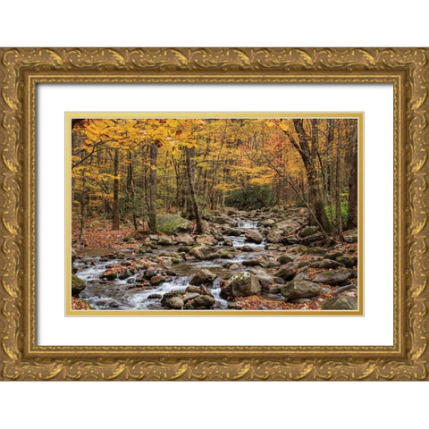 Greenbrier Cascade Gold Ornate Wood Framed Art Print with Double Matting by Galloimages Online