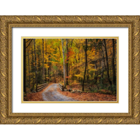 Greenbrier Path Gold Ornate Wood Framed Art Print with Double Matting by Galloimages Online