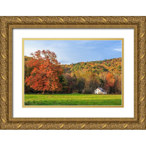 Little House In The Fall Gold Ornate Wood Framed Art Print with Double Matting by Galloimages Online