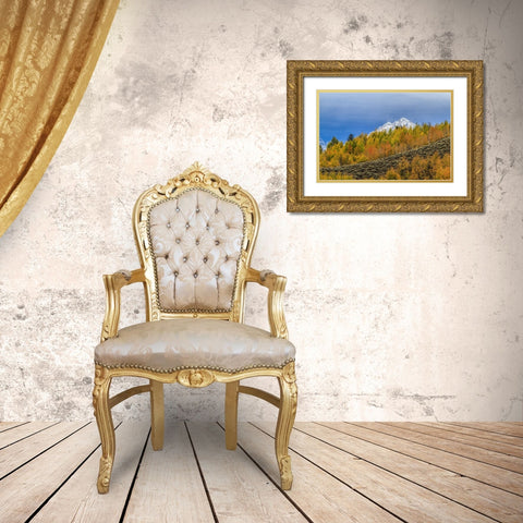 Mountain Fall Color Gold Ornate Wood Framed Art Print with Double Matting by Galloimages Online