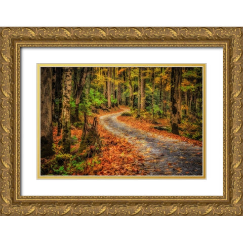 Path In Greenbrier Watercolor Gold Ornate Wood Framed Art Print with Double Matting by Galloimages Online