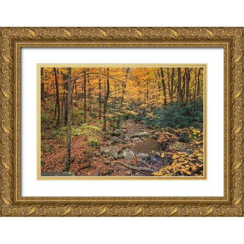 Roaring Fork Stream Gold Ornate Wood Framed Art Print with Double Matting by Galloimages Online