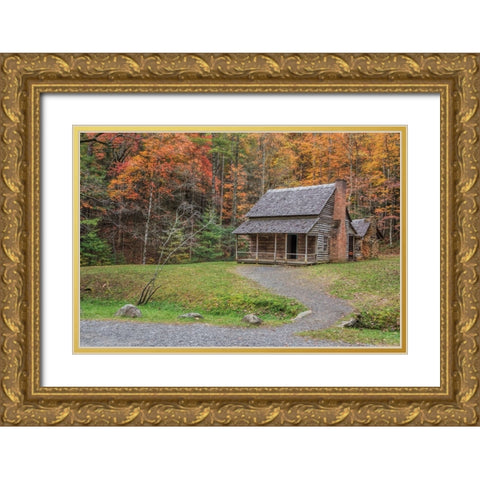 Smokies Cabin 2 (Hw) Gold Ornate Wood Framed Art Print with Double Matting by Galloimages Online