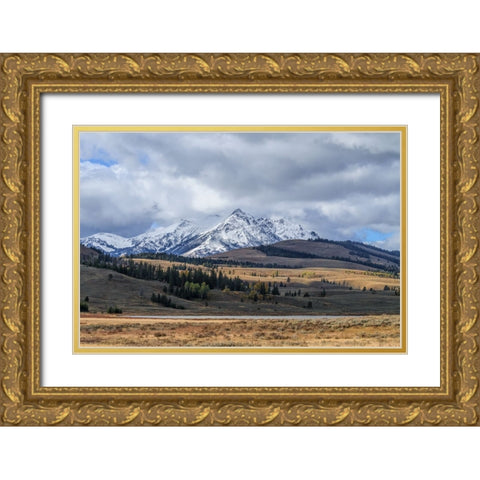 Swan Lake And Electric Peak Gold Ornate Wood Framed Art Print with Double Matting by Galloimages Online