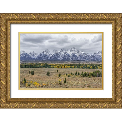 Teton Fall Colors Gold Ornate Wood Framed Art Print with Double Matting by Galloimages Online