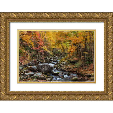 Tremont Stream Watercolor Gold Ornate Wood Framed Art Print with Double Matting by Galloimages Online