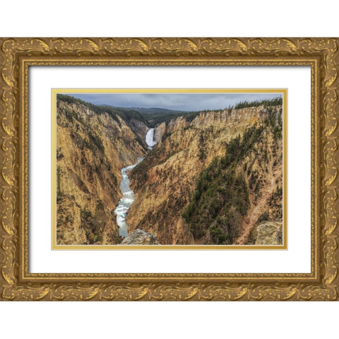 Yellowstone Grand Canyon - Lower Falls Gold Ornate Wood Framed Art Print with Double Matting by Galloimages Online