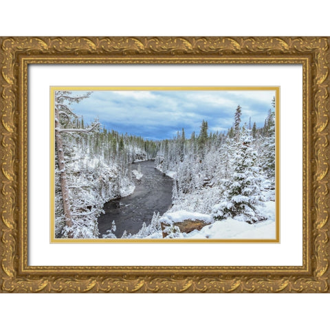 Yellowstone Winter In Fall Gold Ornate Wood Framed Art Print with Double Matting by Galloimages Online