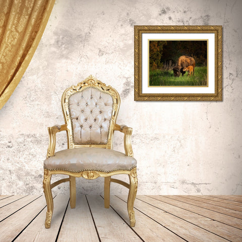 Bison Cow And Calf Gold Ornate Wood Framed Art Print with Double Matting by Galloimages Online