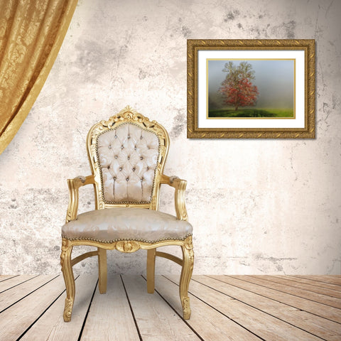Cades Cove Tree Gold Ornate Wood Framed Art Print with Double Matting by Galloimages Online