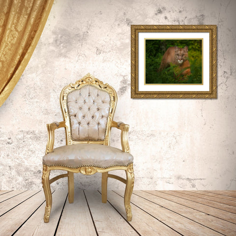 Focused Gold Ornate Wood Framed Art Print with Double Matting by Galloimages Online