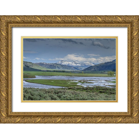 Lamar Valley (YNP) Gold Ornate Wood Framed Art Print with Double Matting by Galloimages Online
