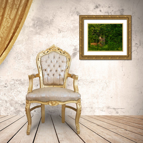 Mountain Lion Lurks In Bush Gold Ornate Wood Framed Art Print with Double Matting by Galloimages Online