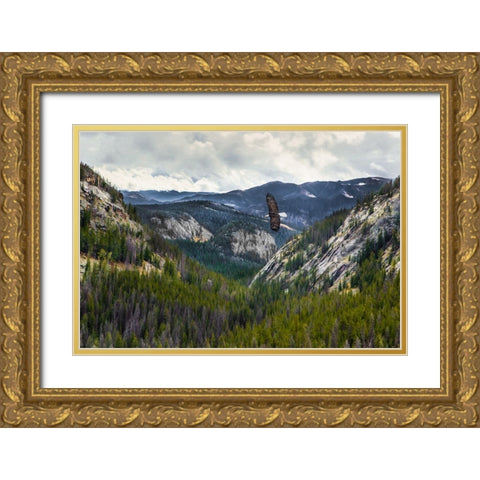 Mountains With Eagle Gold Ornate Wood Framed Art Print with Double Matting by Galloimages Online