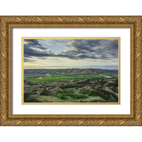 Oxbow Overlook (TRNP) Gold Ornate Wood Framed Art Print with Double Matting by Galloimages Online