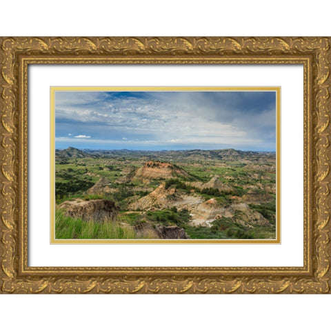 Painted Canyon 1 Gold Ornate Wood Framed Art Print with Double Matting by Galloimages Online