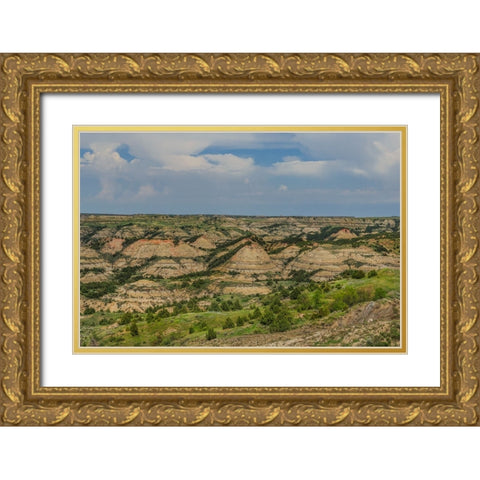 Painted Canyon 2 Gold Ornate Wood Framed Art Print with Double Matting by Galloimages Online