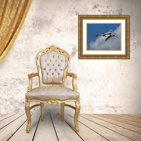 Sandhill Crane 3 Oil Paint Gold Ornate Wood Framed Art Print with Double Matting by Galloimages Online