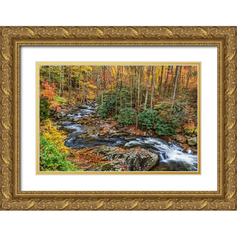 Tremont Stream Gold Ornate Wood Framed Art Print with Double Matting by Galloimages Online