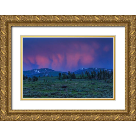 YNP Sunset Gold Ornate Wood Framed Art Print with Double Matting by Galloimages Online
