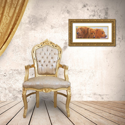 Alaska Coming 2 Gold Ornate Wood Framed Art Print with Double Matting by Stevenson, Graeme