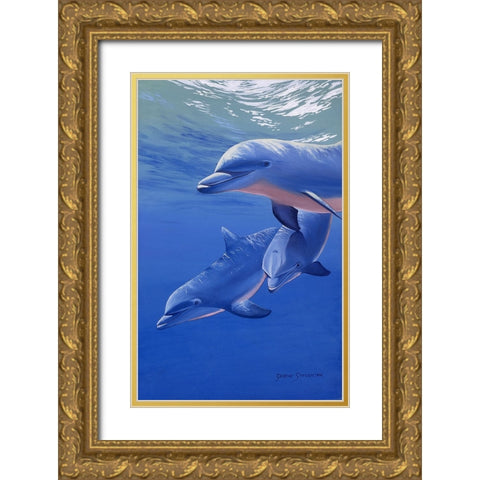 Dolphin Smile Gold Ornate Wood Framed Art Print with Double Matting by Stevenson, Graeme