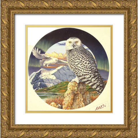 Northern Lights Gold Ornate Wood Framed Art Print with Double Matting by Stevenson, Graeme