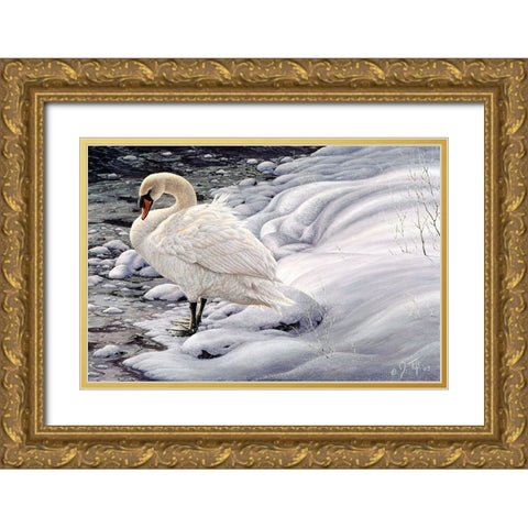 Edge Of Light - Mute Swan Gold Ornate Wood Framed Art Print with Double Matting by Tift, Jeff