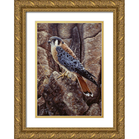 Blue Hawk Gold Ornate Wood Framed Art Print with Double Matting by Tift, Jeff