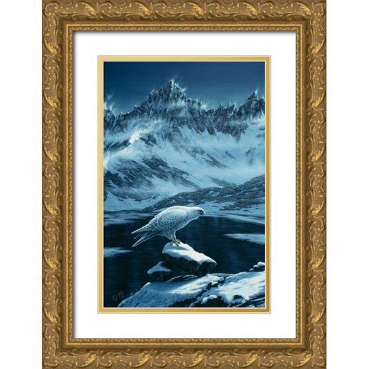 Perspective Image