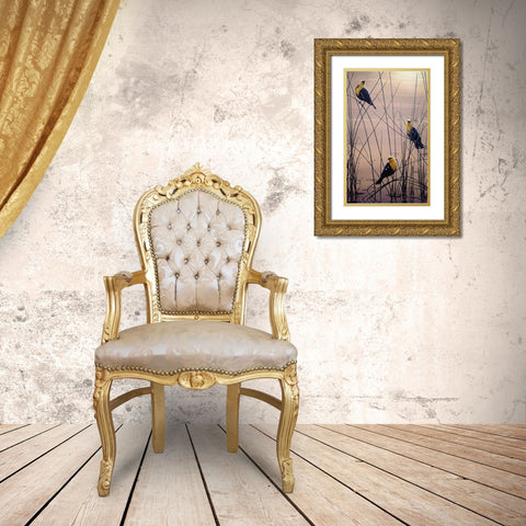 Yellow Headed B Birds Gold Ornate Wood Framed Art Print with Double Matting by Tift, Jeff