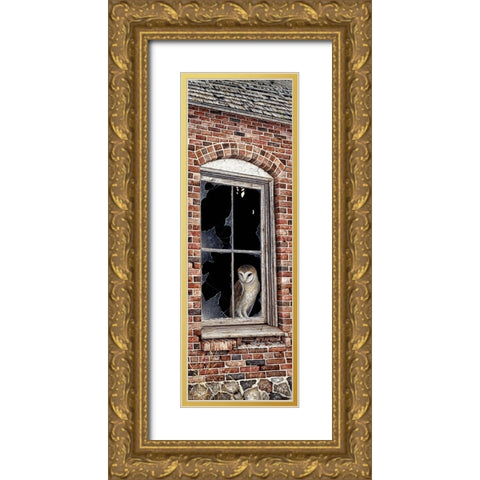 The Look Out Gold Ornate Wood Framed Art Print with Double Matting by Tift, Jeff