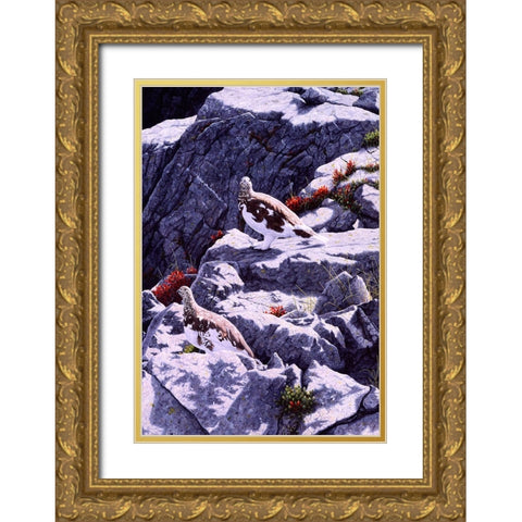 White-Tailed Ptarmigan Gold Ornate Wood Framed Art Print with Double Matting by Tift, Jeff